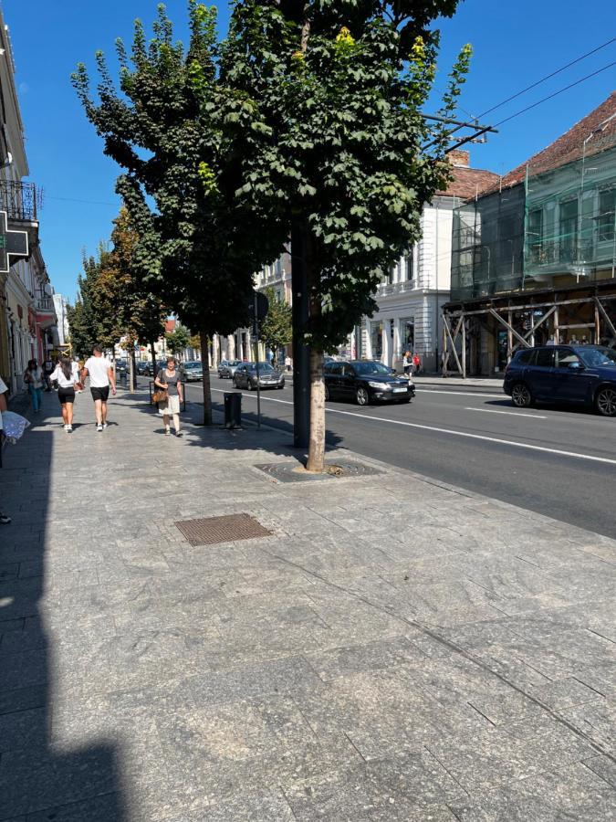 Ndl Downtown Cluj Lejlighedshotel Eksteriør billede